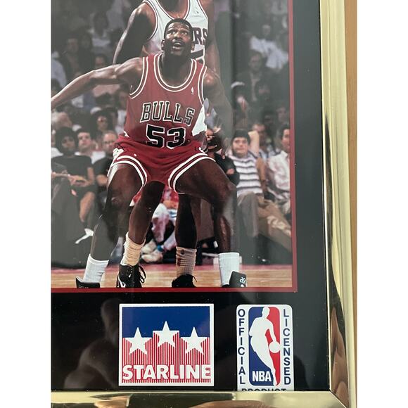 Chicago Bulls 1991 NBA Finals World Champs Framed Poster – Vintage Starline - Picture 6 of 8